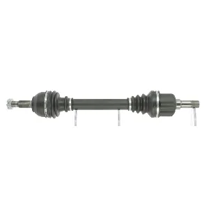 bouvier-auto3397805
