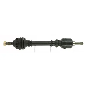 bouvier-auto3922599