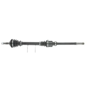 bouvier-auto3922927