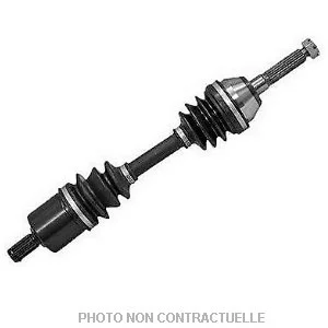 bouvier-auto3929904