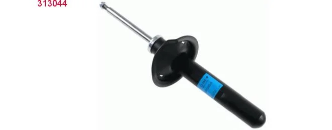 bouvier-auto3934034
