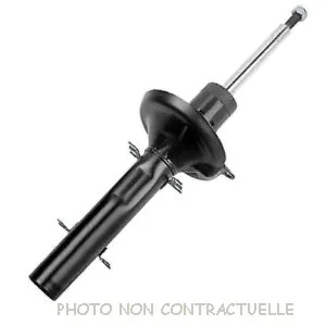 bouvier-auto3936004