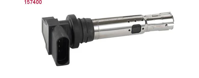 bouvier-auto3940323