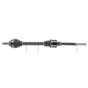 bouvier-auto3962700