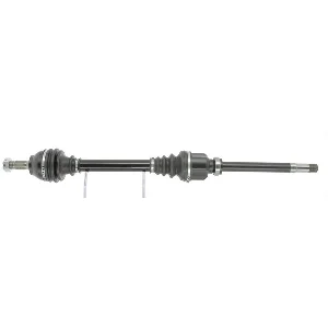 bouvier-auto3963277