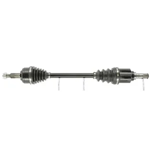 bouvier-auto3974026