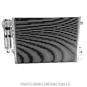 bouvier-auto3979243