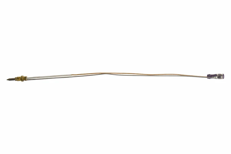 reimo3619152
