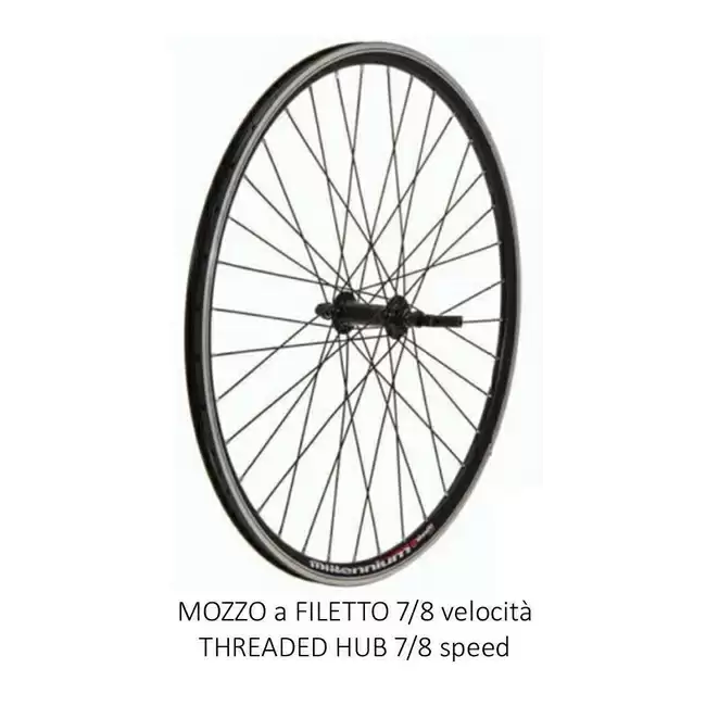 ridewill3358926