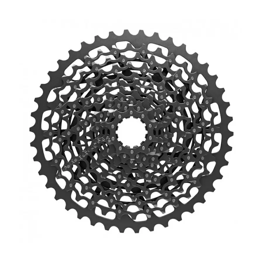 ridewill3481872