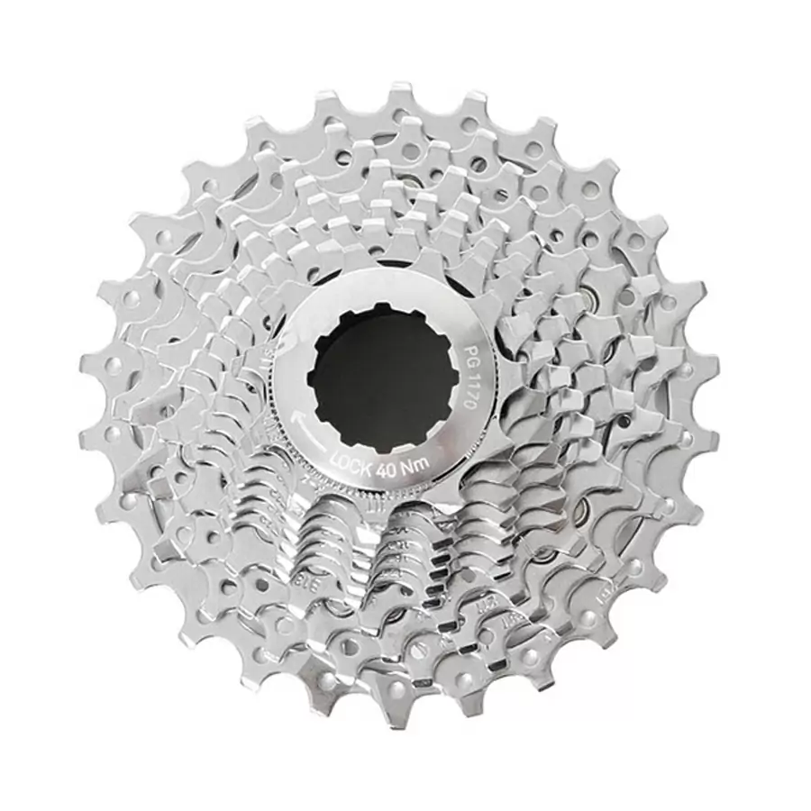 ridewill3482047