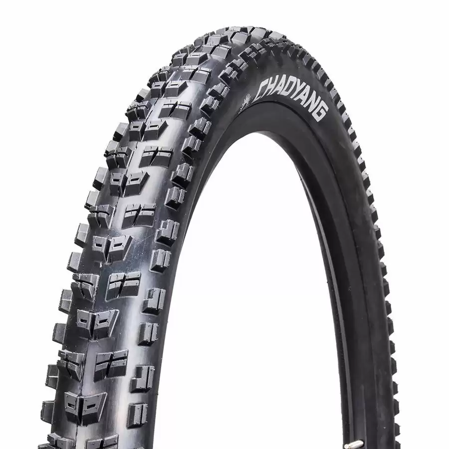 ridewill3494733