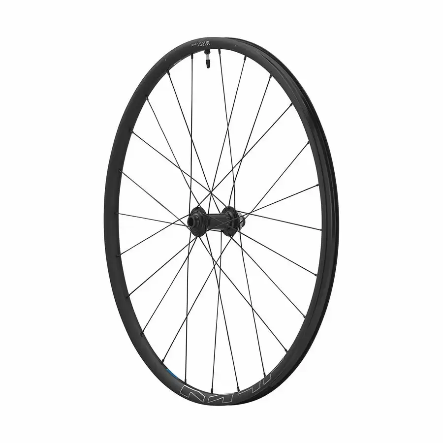 ridewill3549192