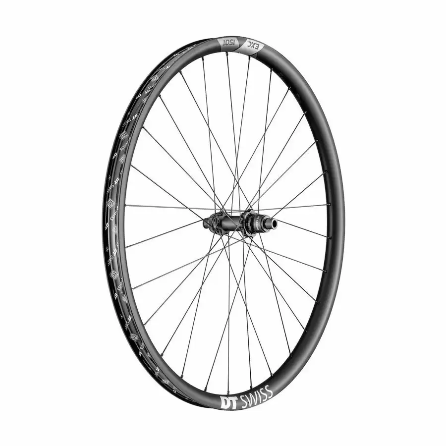ridewill3555844