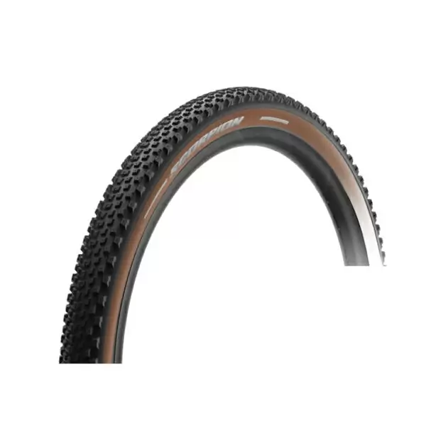ridewill3564053