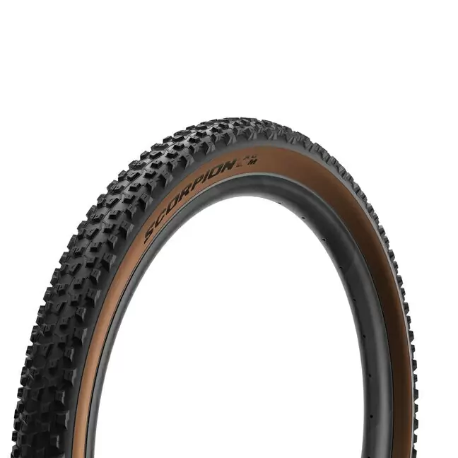 ridewill3564135