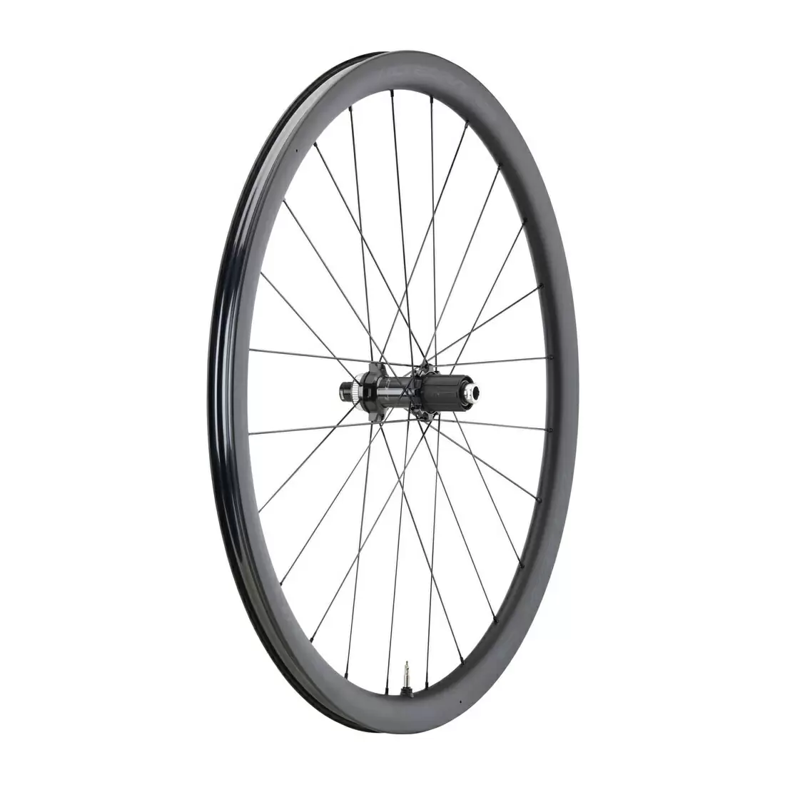 ridewill3646047