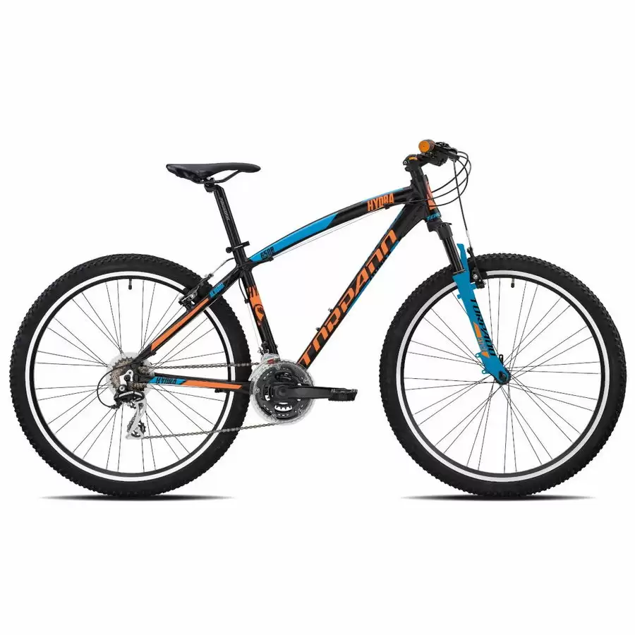 ridewill3678462