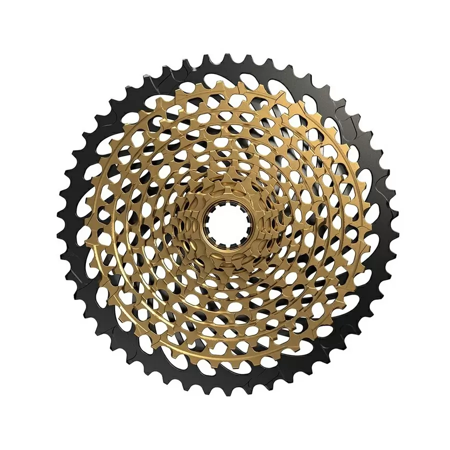 ridewill3679846