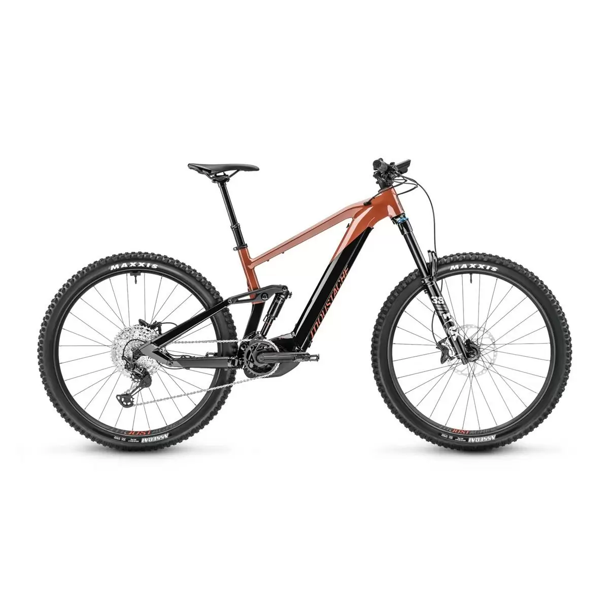 ridewill3692389