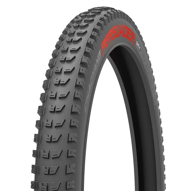 ridewill3698999