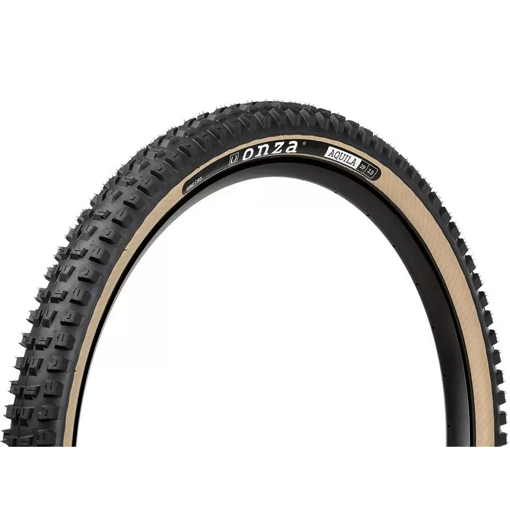 ridewill3719459