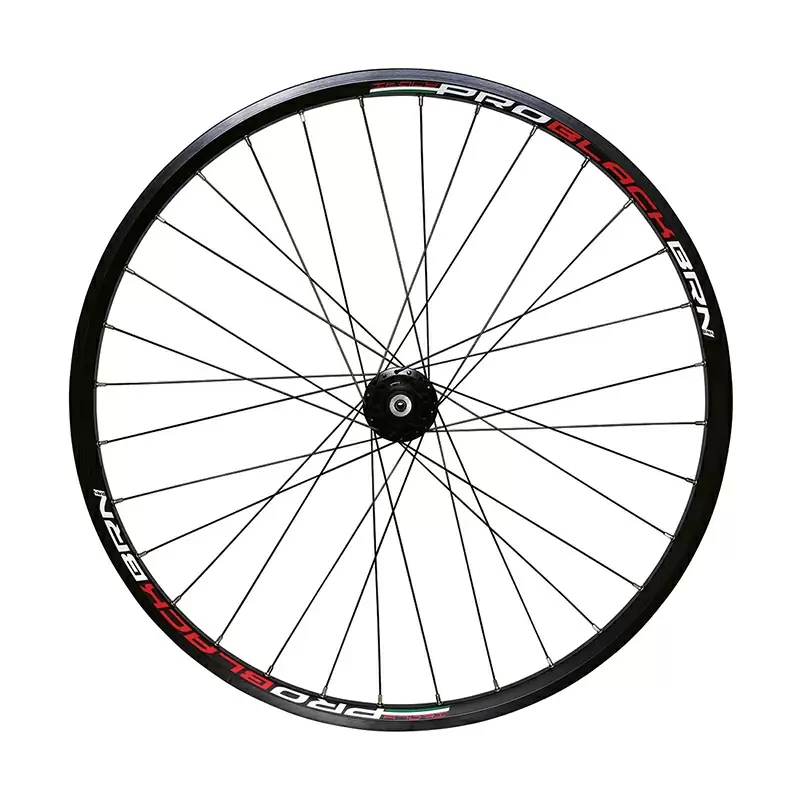 ridewill3756497