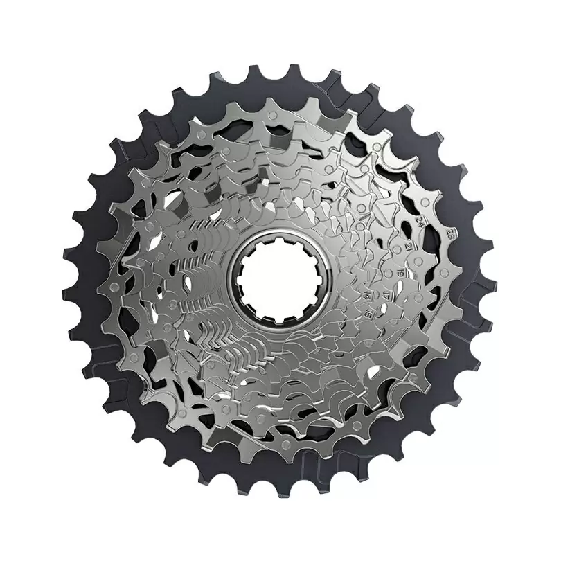 ridewill3780854
