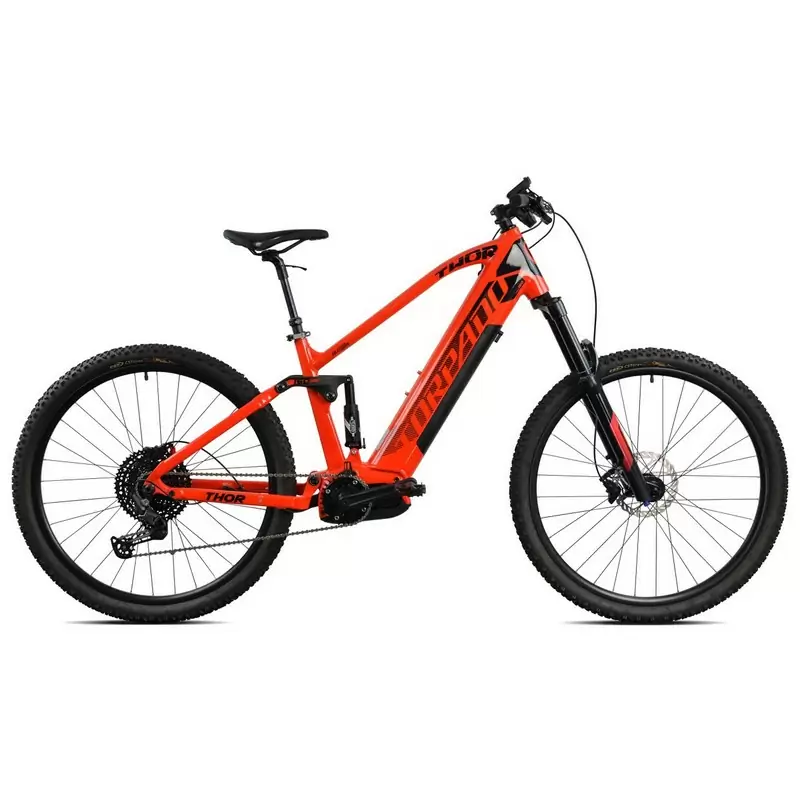ridewill3791540