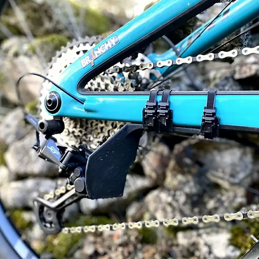 ridewill3799480