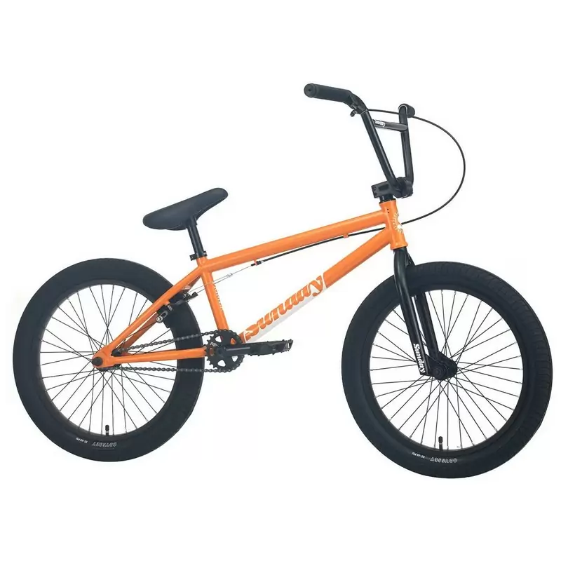 ridewill3817057