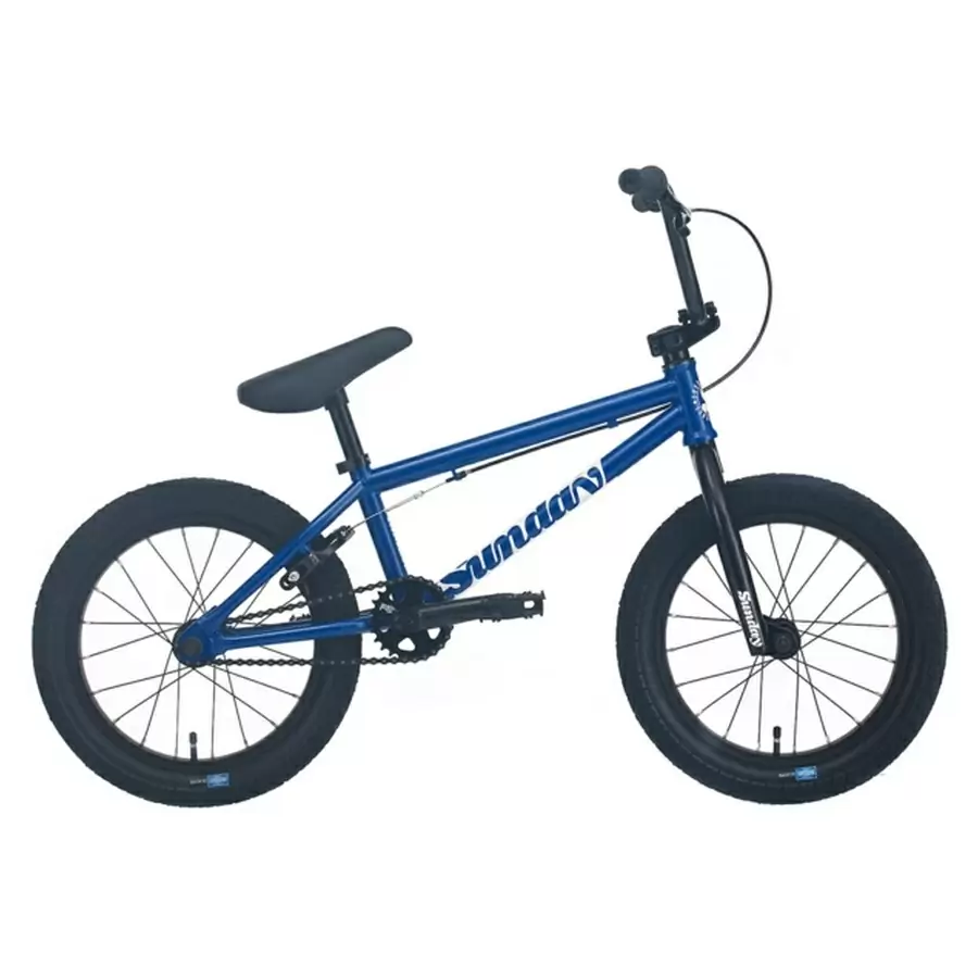 ridewill3817090