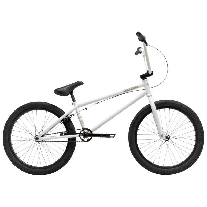 ridewill3819529
