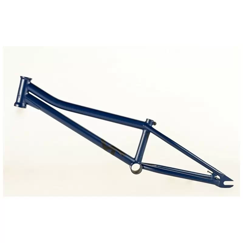 ridewill3839538