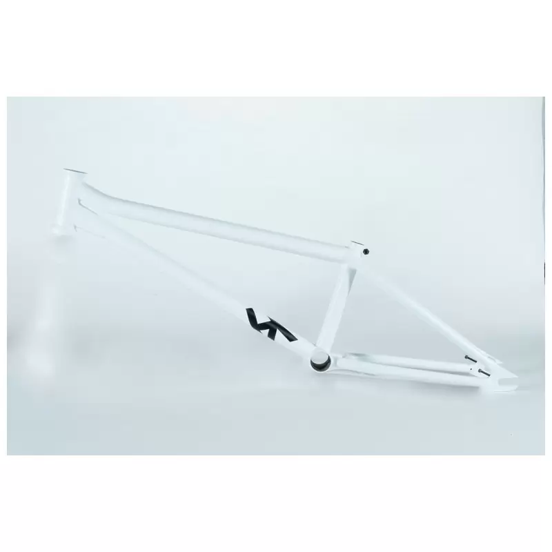 ridewill3839688