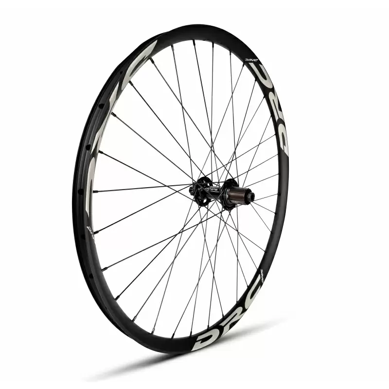 ridewill3842336