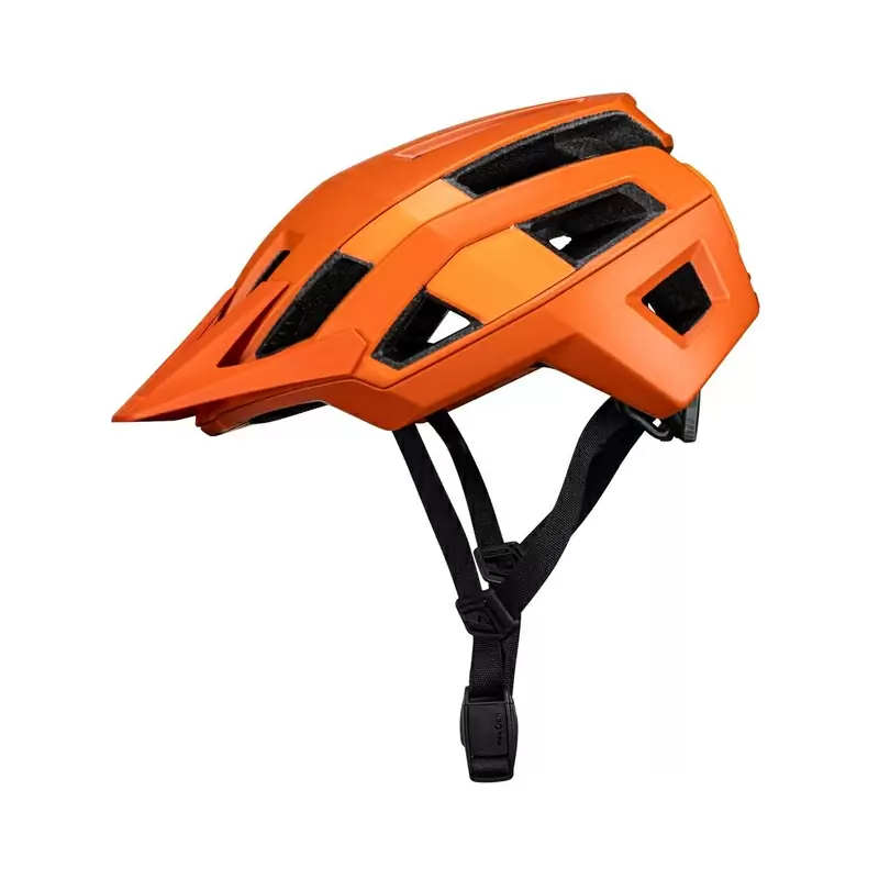 ridewill3848609