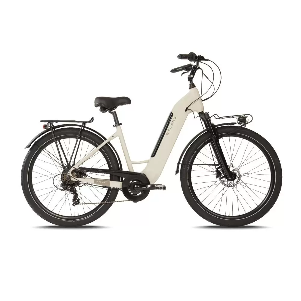 ridewill3878731
