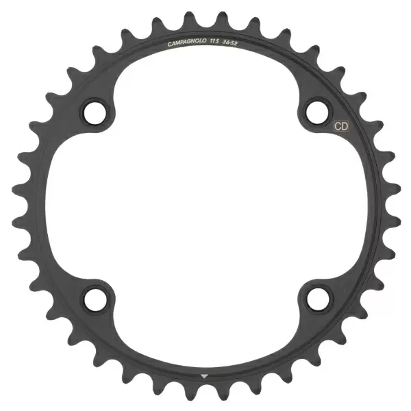 ridewill3883734