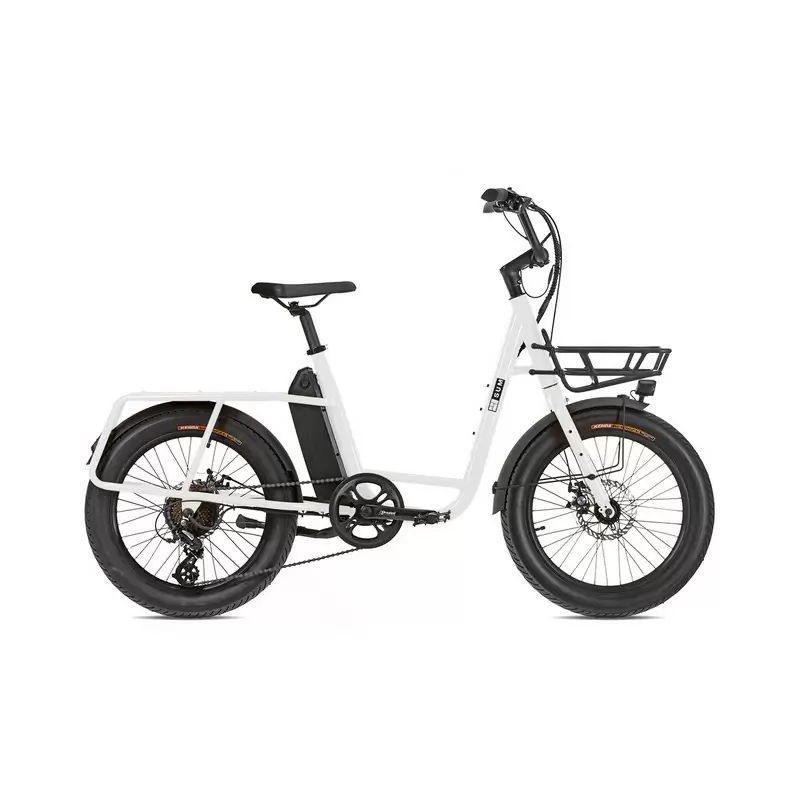ridewill3909017
