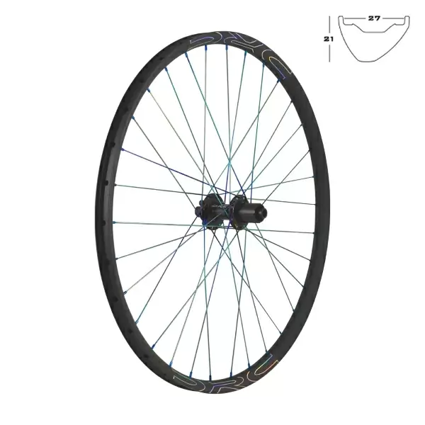 ridewill3914261
