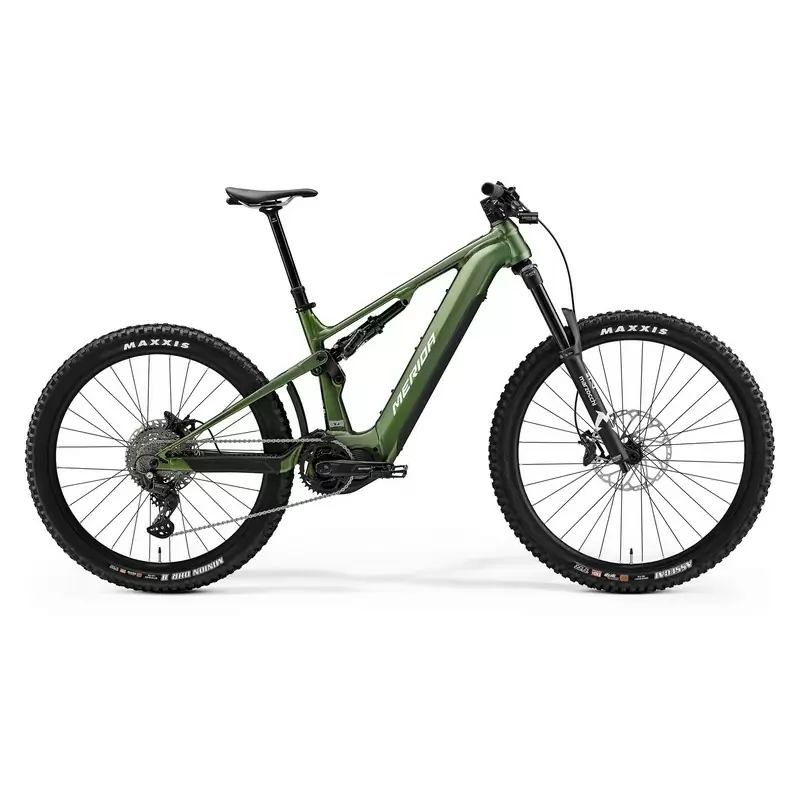 ridewill3924739