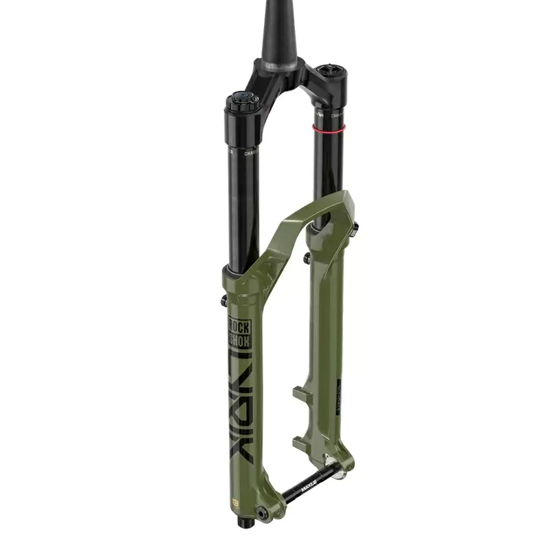 ridewill3930709