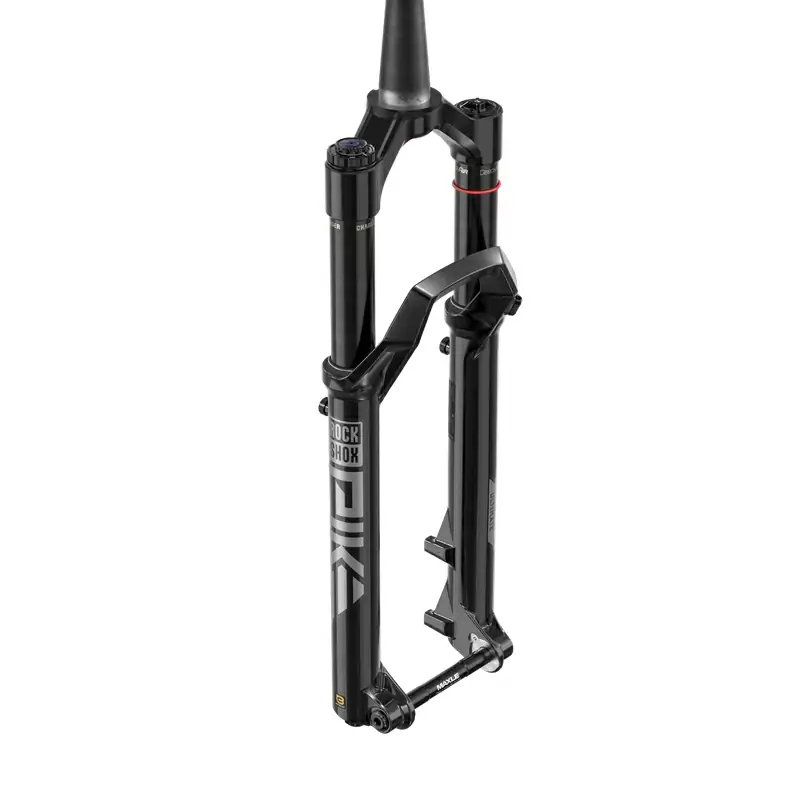 ridewill3931095