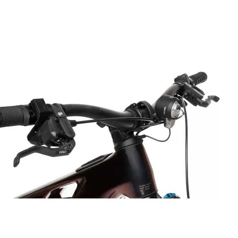ridewill3953663