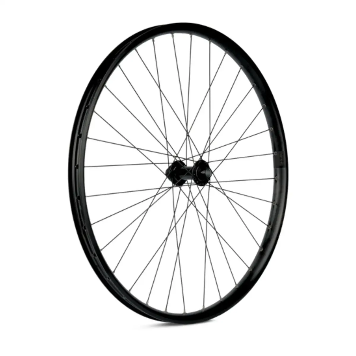 ridewill3953919