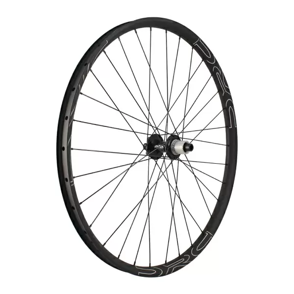 ridewill3959991