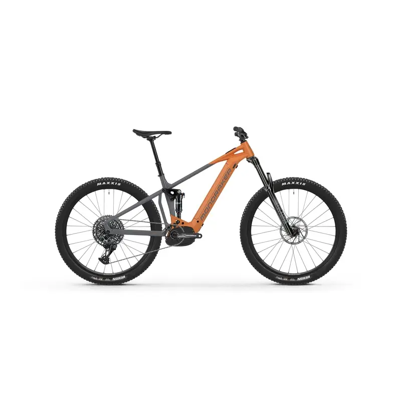 ridewill3962448