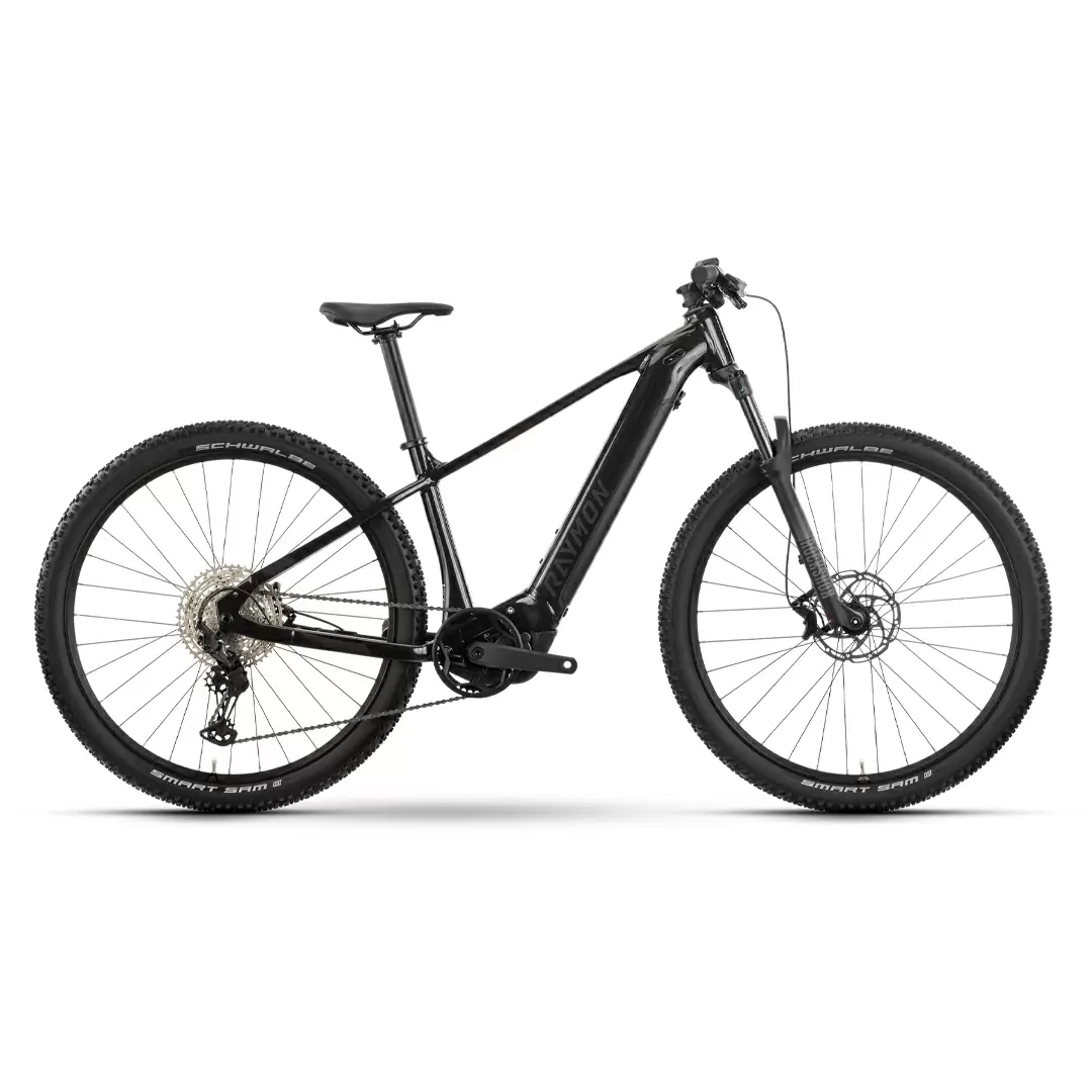 ridewill3970833