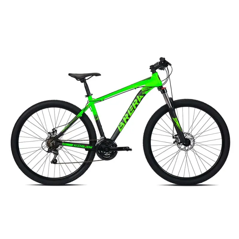 ridewill3996161